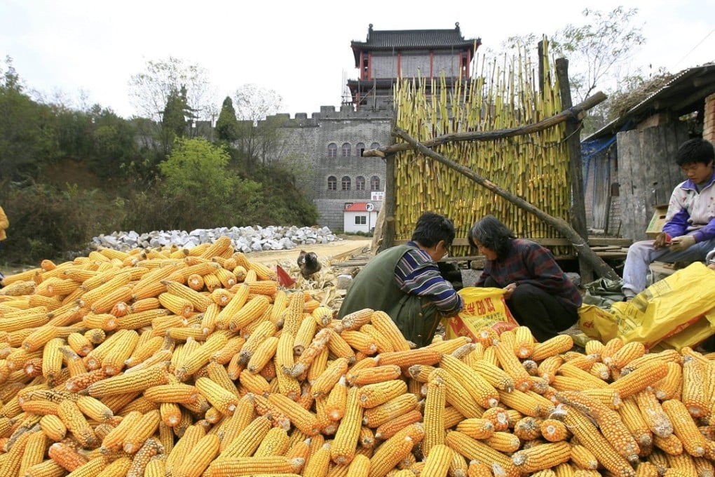 Grain prices in China are soaring due to increasing amounts of corn and other crops being used for bio-fuel instead of food. Photo: AFP