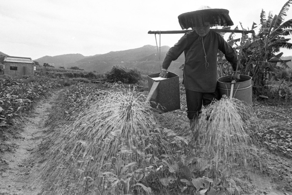 A farmer waters crops in the New Territories in this file photo from 1977. Starting in the 1970s, Hong Kong developers started buying up New Territories farmland at cheap prices. Photo: SCMP