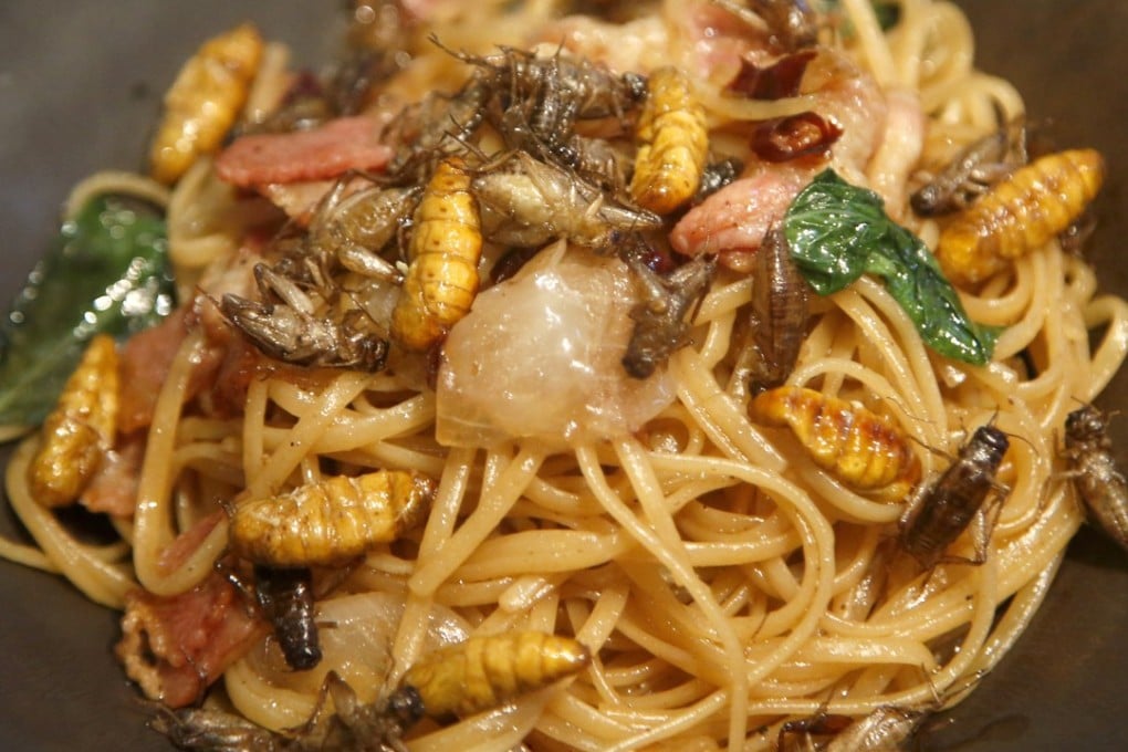 Spaghetti with silkworm and cricket at Insects in the Backyard restaurant in Bangkok. Photo: AP