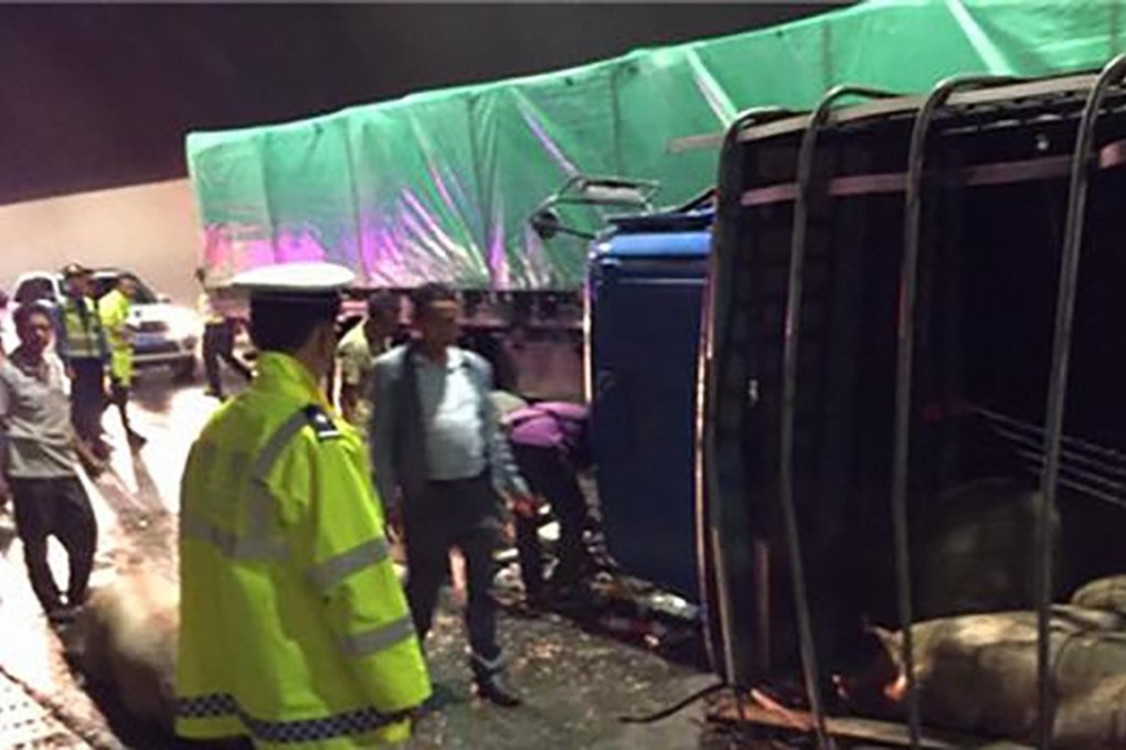 The road tunnel in Sichuan was closed after a truck carrying dozens of pigs overturned. Photo: Sina.com