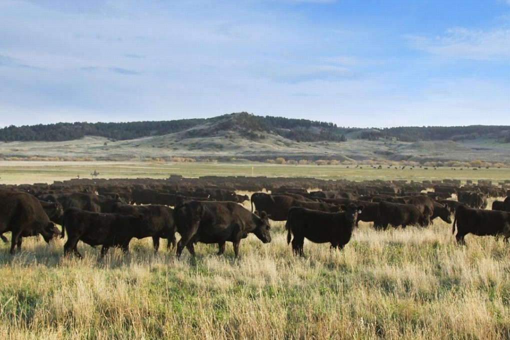 Ranch and farm properties in the American West can range from seven-acre parcels of undeveloped grassland at less than US$60,000, to huge mountain estates with luxurious houses, stables, irrigation systems for more than US$100 million. Photo: SCMP handout