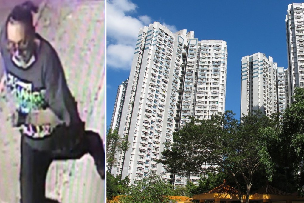 The suspect (left) was later escorted to his flat in Wong Tai Sin. Photo: Handout