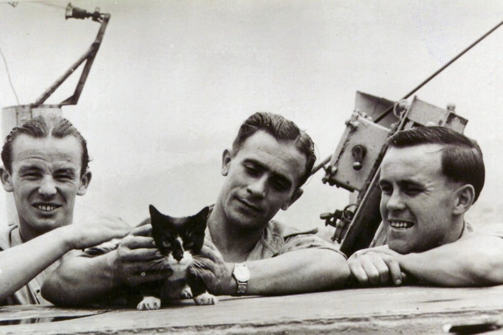 Simon the ship’s cat aboard HMS Amethyst. The Hong Kong-born cat received the PDSA Dickin Medal. Photo: courtesy of the PDSA