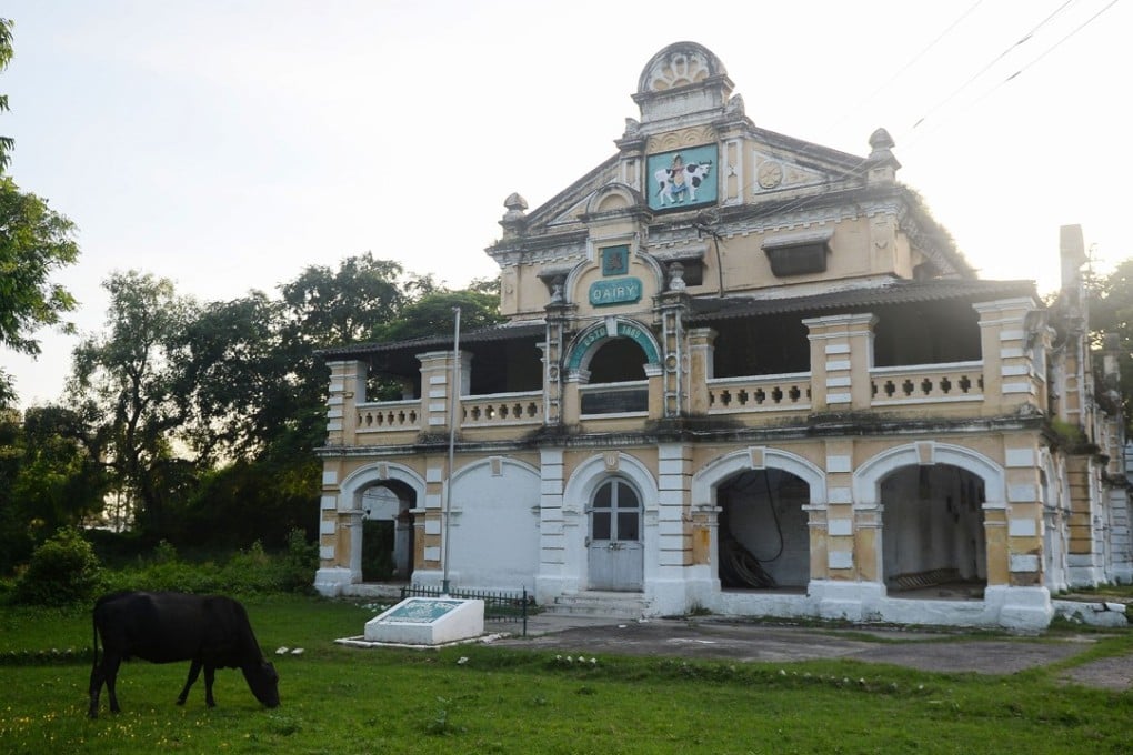 A cow stands next to the British-era dairy farm opened in 1889 that is now run by the Indian military in Allahabad. Photo: AFP