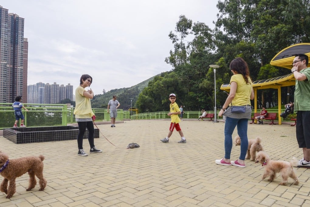 Dogs chilling at the newly opened Wan Po Road Pet Garden in Tseung Kwan O. 48 Hours Magazine. Photo: Handout