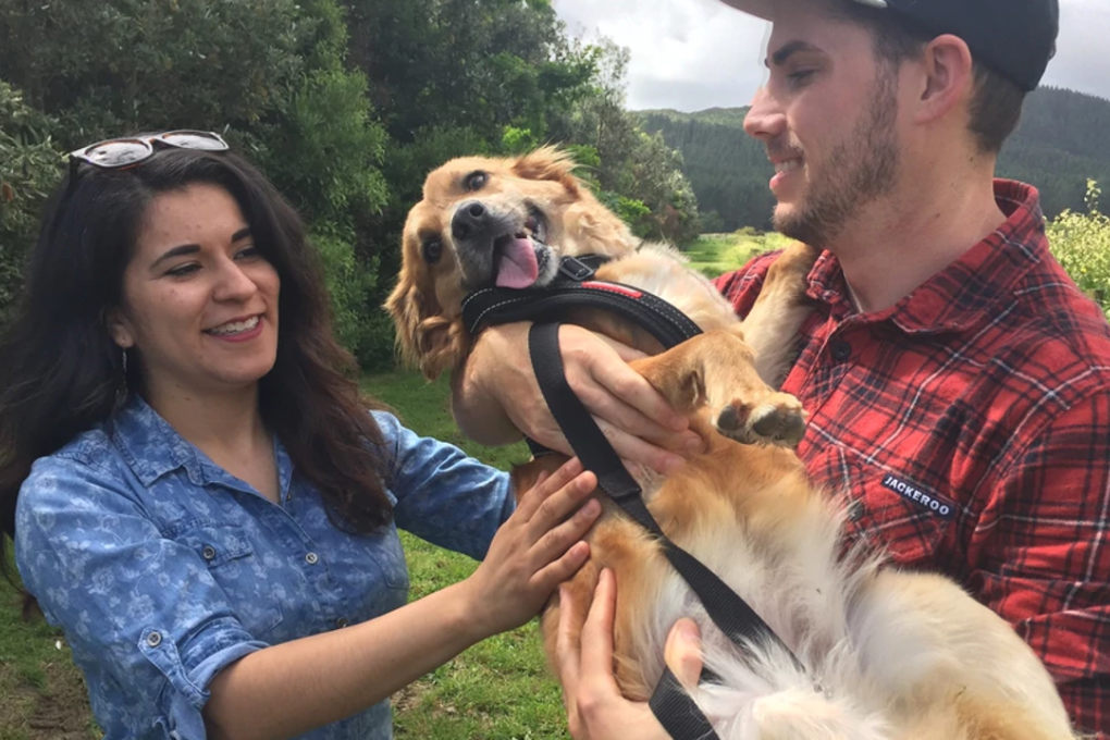 James and Karla Turner are delighted to have their cuddly pup Maggie home in New Zealand with them. Photo: Melissa Nightingale