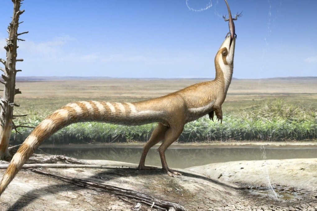 An artistic interpretation of Sinosauropteryx and the open habitat in which it lived 130 million years ago in the Early Cretaceous. Graphic: Robert Nicholls
