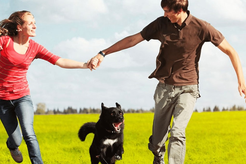 Animals lovers will benefit from a social media platform aimed at encouraging and easing pet adoption processes.
