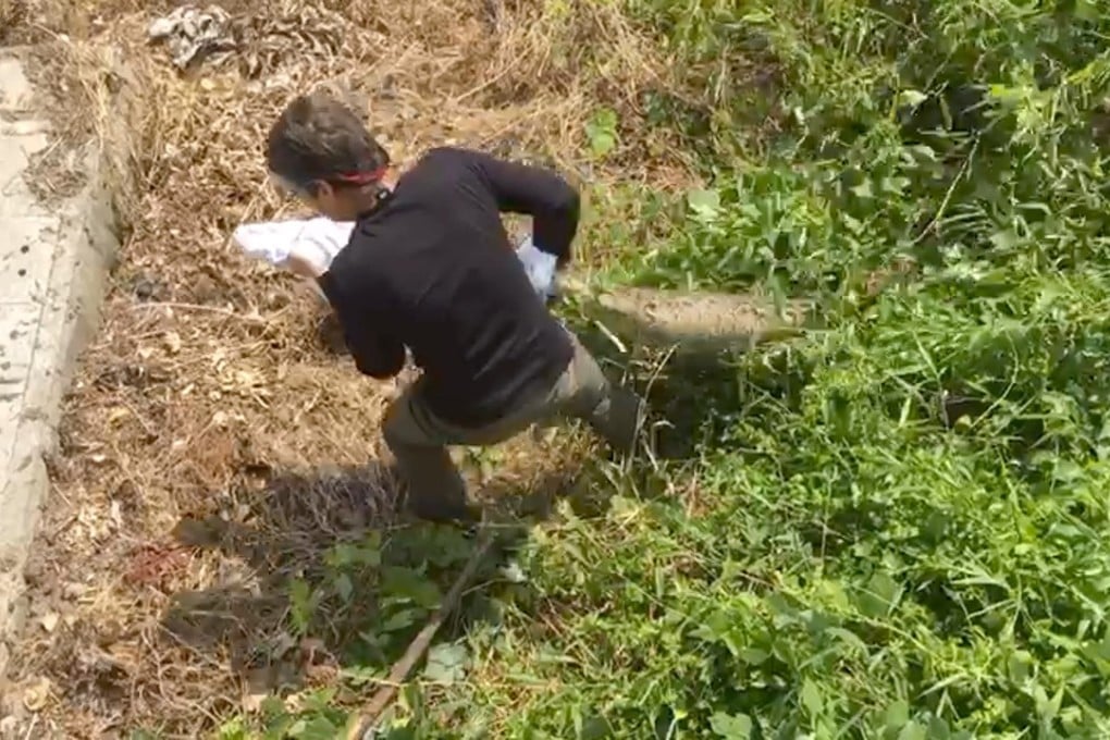 Snake catcher David Willott was called in to subdue the snake. Photo: Handout
