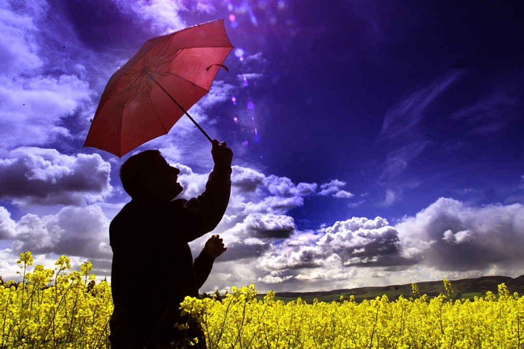 Chart of the day: China’s rapeseed oil futures set for bull run