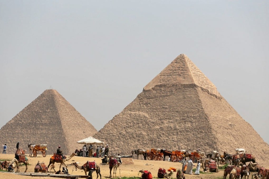 A group of camels and horses stand idle in front of the Great Pyramids in Giza, Egypt. Photo: Reuters