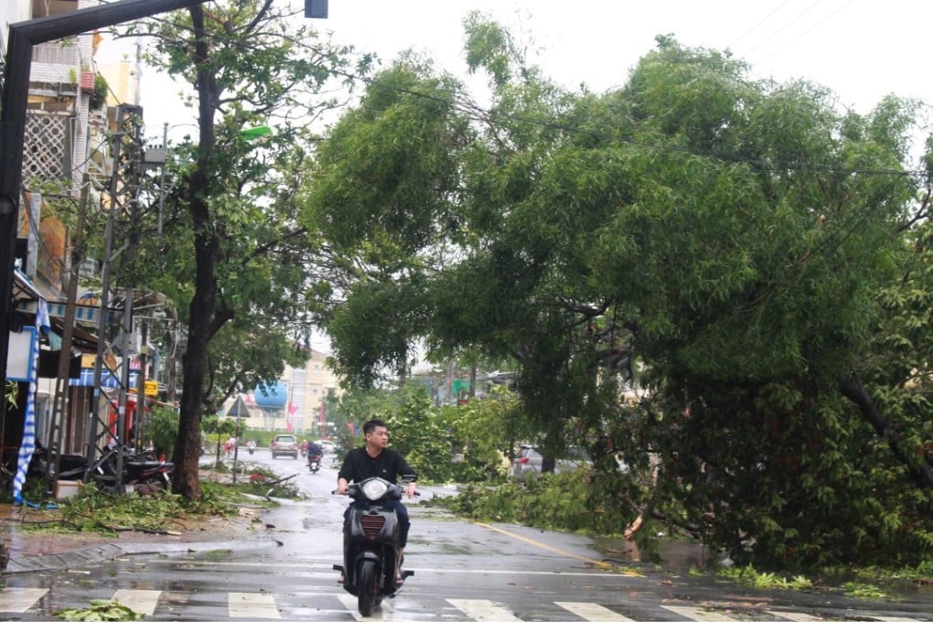 A man rides his motorbike past trees knocked down by Typhoon Damrey, in Nha Trang, Khanh Hoa, Vietnam. Photo: EPA