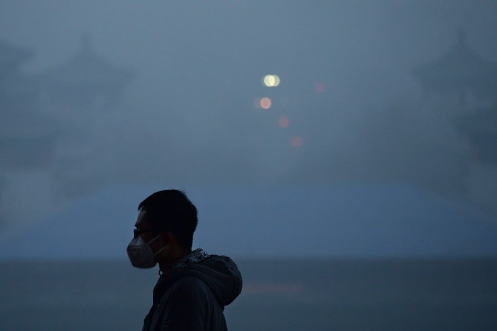 China has no choice but to work on reducing its footprint on the environment, WWF says. Photo: AFP