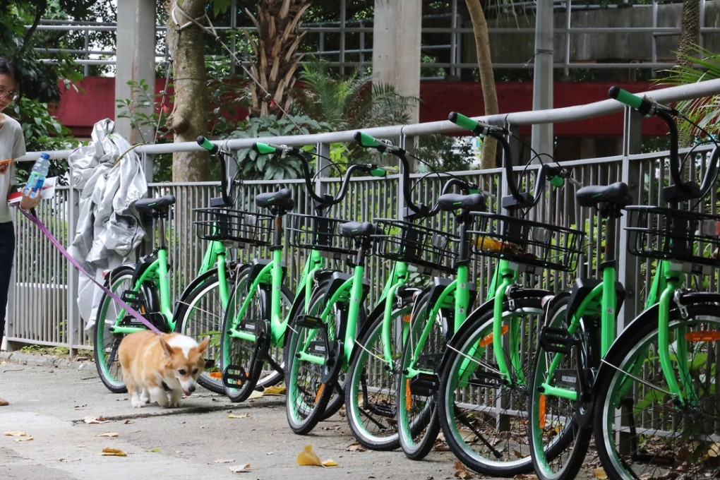 Gobee’s shared bikes parked at Mei Tin Road in Tai Wai. Photo: Felix Wong