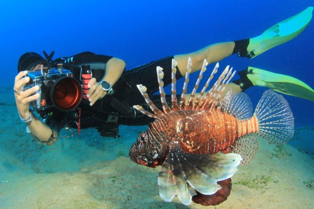 The latest equipment means it’s getting easier to enjoy underwater photography. Photo: Shutterstock