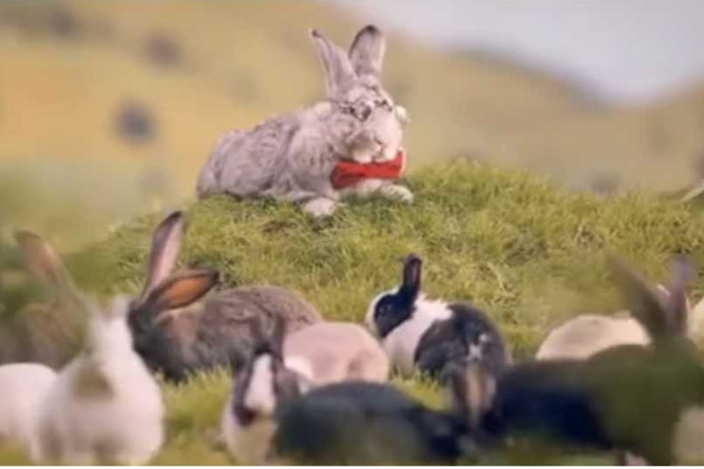 Screengrab from a video made by Poland's Ministry of Health. Photo: YouTube/Polish Ministry of Health