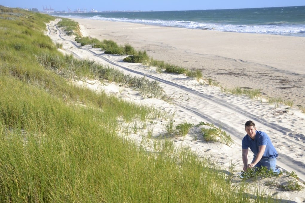 Jed Gerrard, executive chef at the Wildflower restaurant in Perth’s Como The Treasury hotel, forages on the beach for natural bounty.