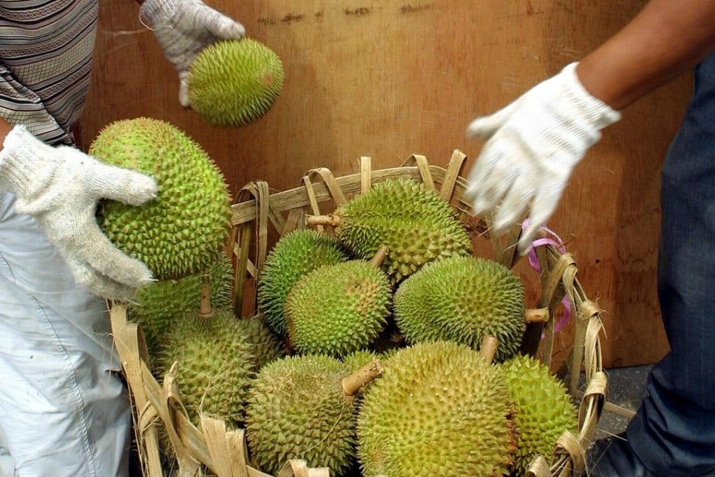 There’s good news for Malaysia’s Durian exports. Photo: AFP