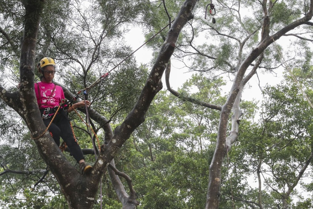 The tree-climbing event was held over two days at Shing Mun Country Park in the New Territories. Photo: K. Y. Cheng