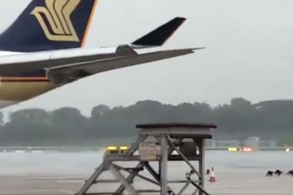 The “invasion” by the otters was captured on video which has been shared widely on social media. Changi Airport activated its Airside Safety team after its surveillance system detected the animals on its premises. Photo: TODAY reader