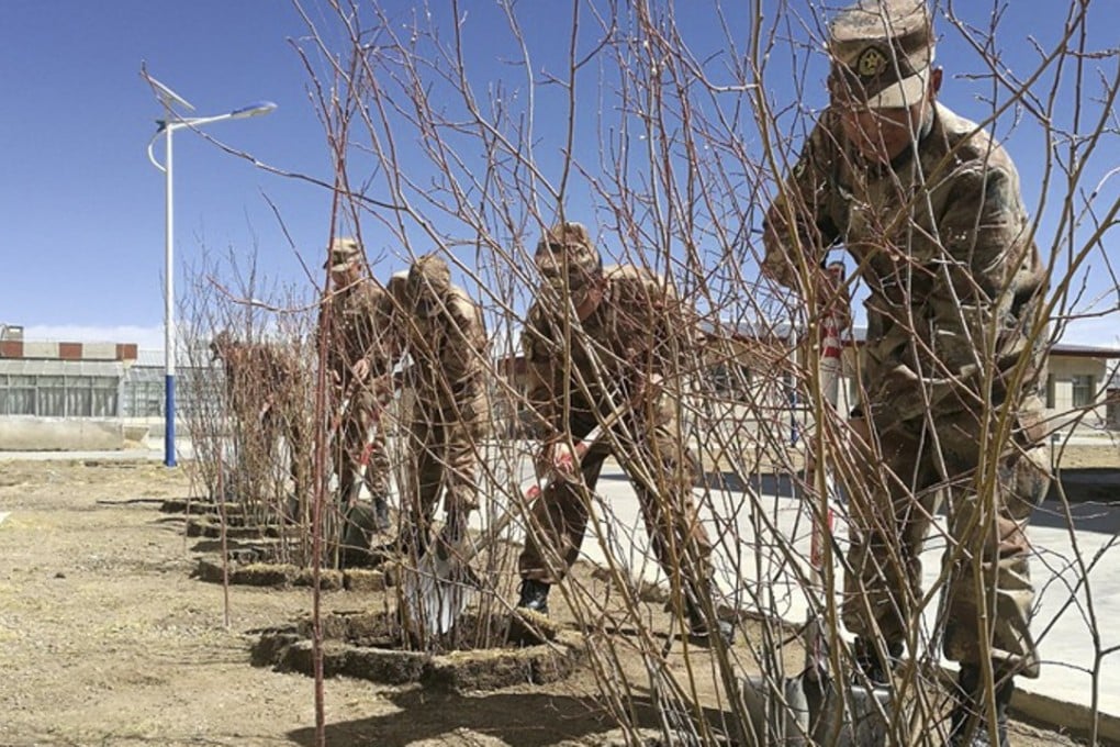 China is taking the unprecedented – and expensive – step of harnessing solar power to melt permafrost to allow trees to grow in Nagqu. Photo: Handout