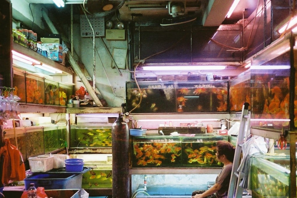 This photograph by Christopher Lim, titled 007, is among 80 that will go on display in a one-day show, Hong Kong Perspectives, next week.