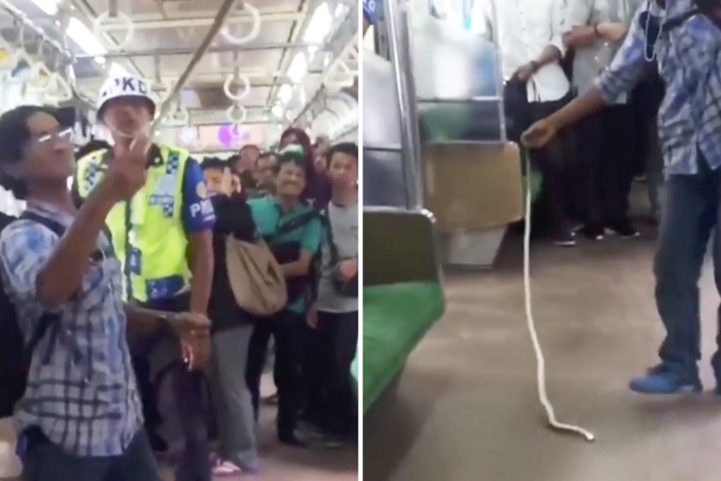 A brave passenger on a train in in Jakarta, Indonesia, saved the day after a snake brought riders' commute to a sudden stop on Tuesday. Photo: Instagram