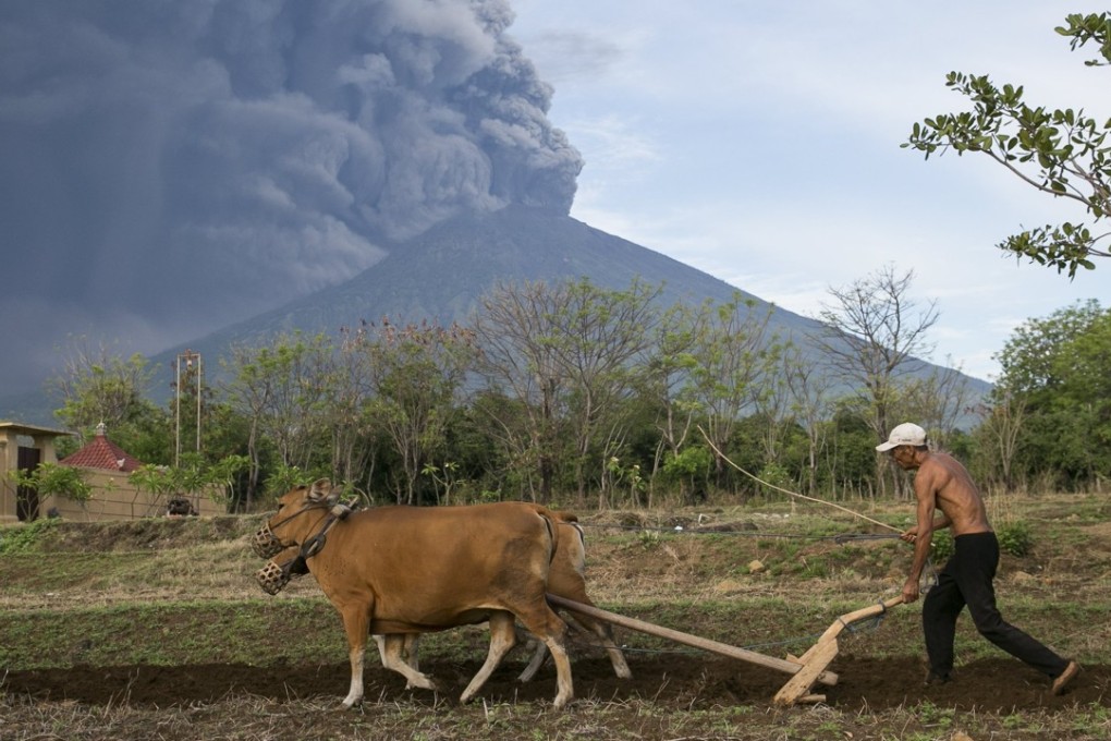 A man works on his farm as Mount Agung volcano spews volcanic ash in Karangasem, Bali. Photo: EPA