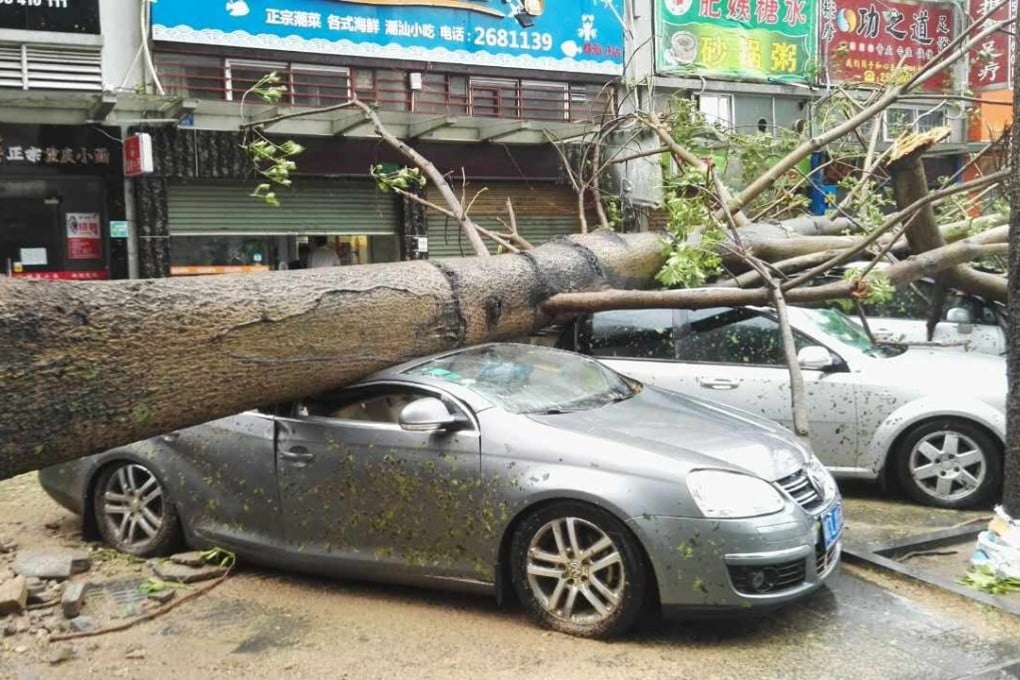 A fallen tree flattens cars in Zhuhai during typhoon Hato in August. Here’s hoping the owners were insured. Photo: Xinhua