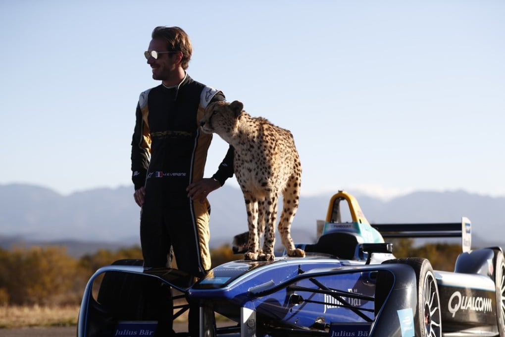 Jean-Eric Vergne prepares for the new Formula E season by racing a cheetah in Western Cape, South Africa. Photo Handout