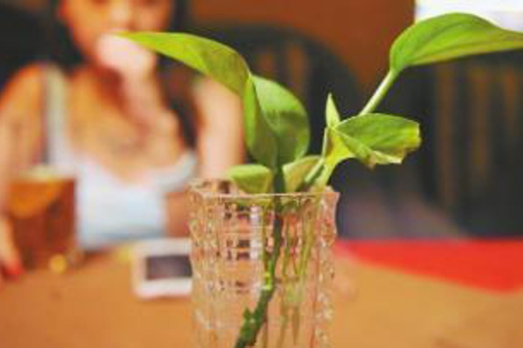 The woman signed up for the company’s service to get back with her ex-boyfriend, who has since married someone else. Photo: Sina