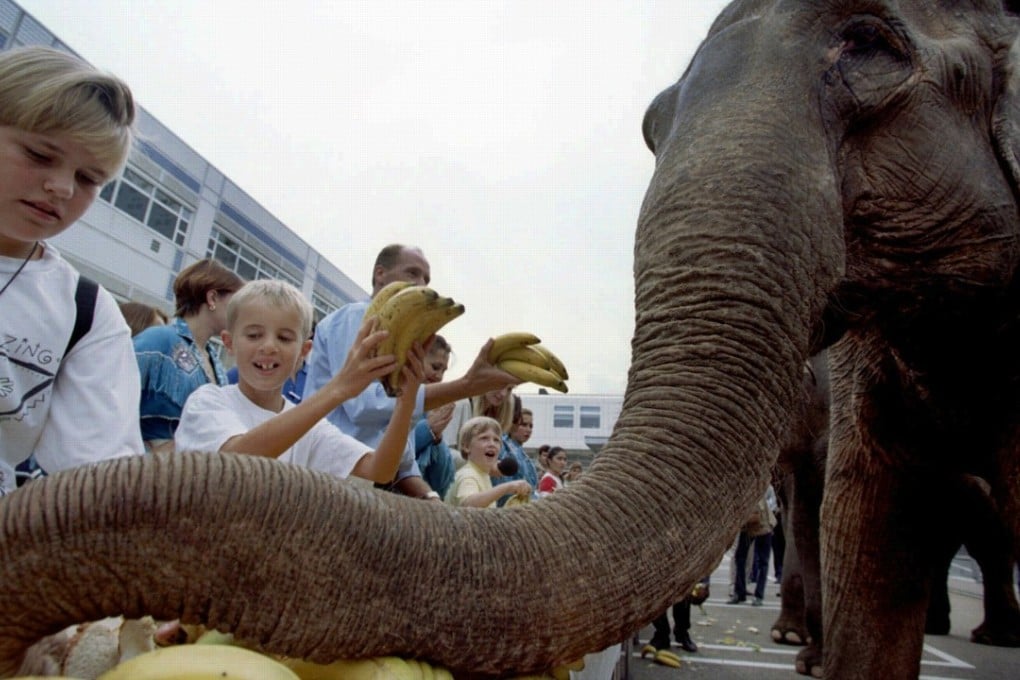 Beware the three elephants in the room in global market, says Nicholas Spiro: Italy’s ailing banking sector, coupled with the country’s huge public debt; the US’ rapidly deteriorating fiscal position; and emerging markets are no longer cheap, sitting on valuations at their most expensive level since 2010. Photo: Reuters