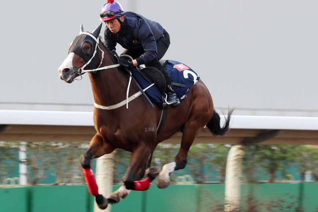 Beauty Only impresses on the training track on Wednesday morning. Photos: Kenneth Chan