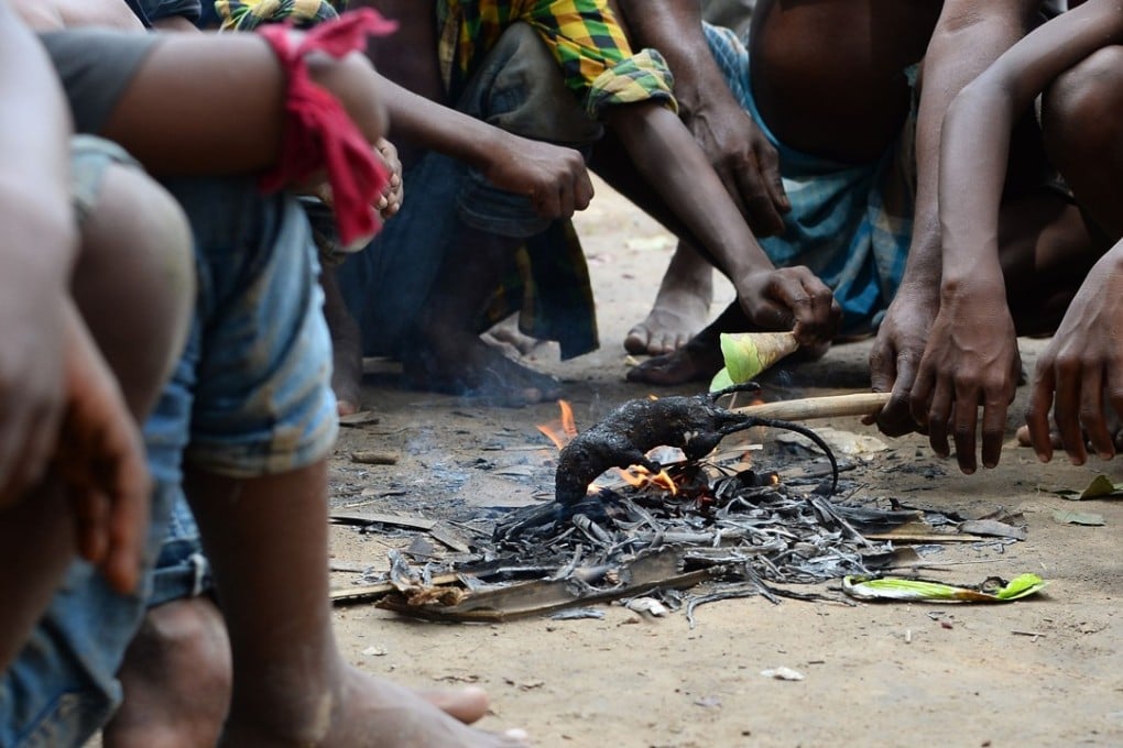 Members of the Musahar community roast a rat in Alampur Gonpura village, in the eastern Indian state of Bihar. Photo: AFP