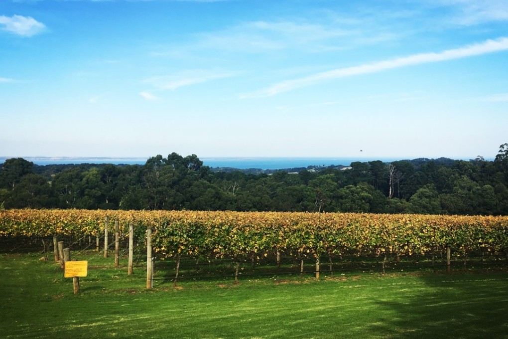 A winery in Australia’s Morning Peninsula.
