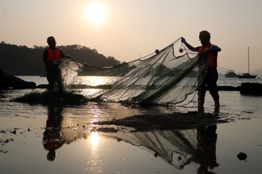 Workers have been moving the animals from Lung Mei Beach since November. Photo: Winson Wong