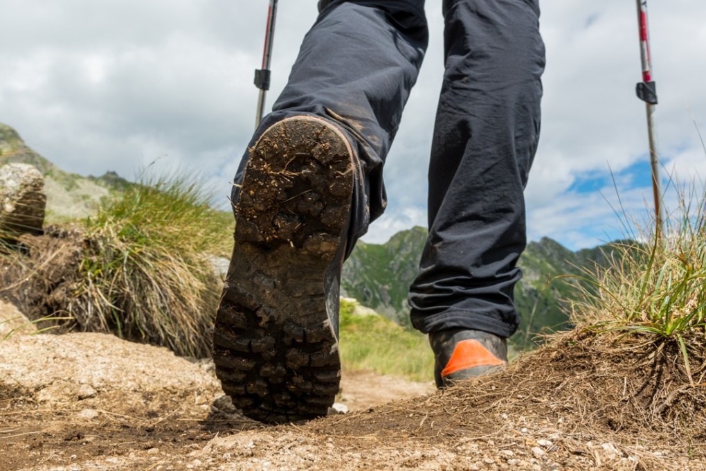 The number of hikes taken in Hong Kong rose steadily from 12.2 million in 2005 to 13.3 million in 2015. Photo: Shutterstock