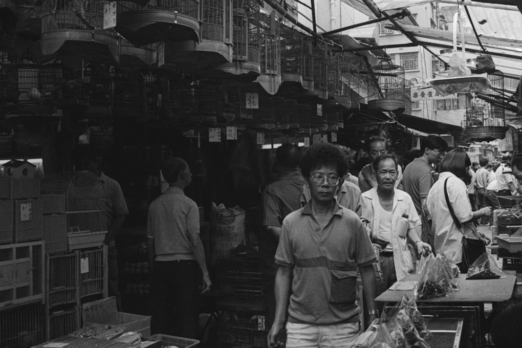 Hong Lok Street in Mong Kok, better known as Bird Street, was the most famous bird market in Hong Kong. Photo: David Wong