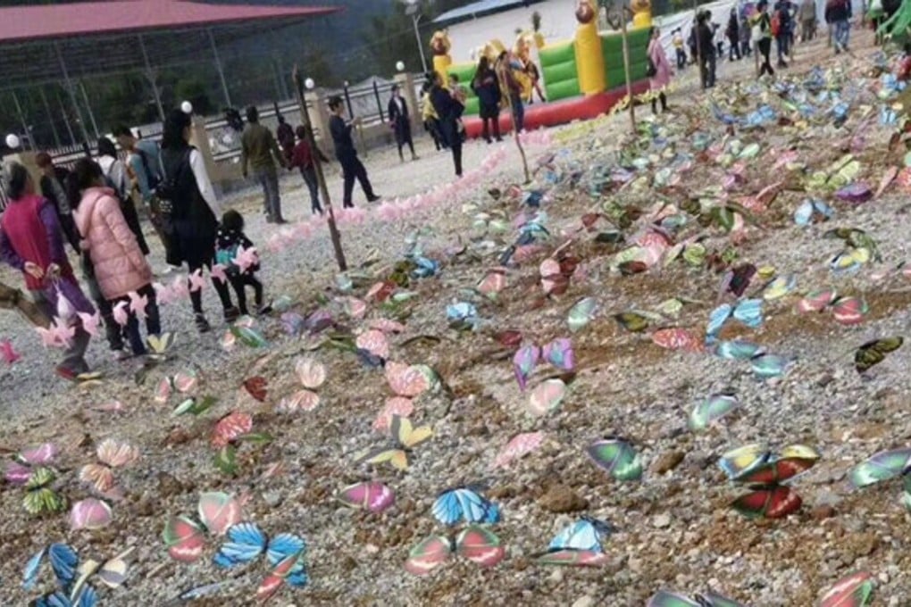 Visitors found plastic butterflies stuck in the ground at Xiaodubai Park in Mashan county, Guangxi province. Photo: Weibo