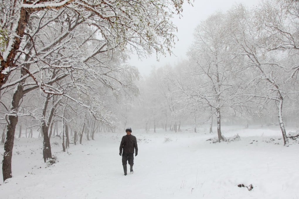 The central government aimed to have 1.8 million homes make the switch from coal heating. Photo: Xinhua