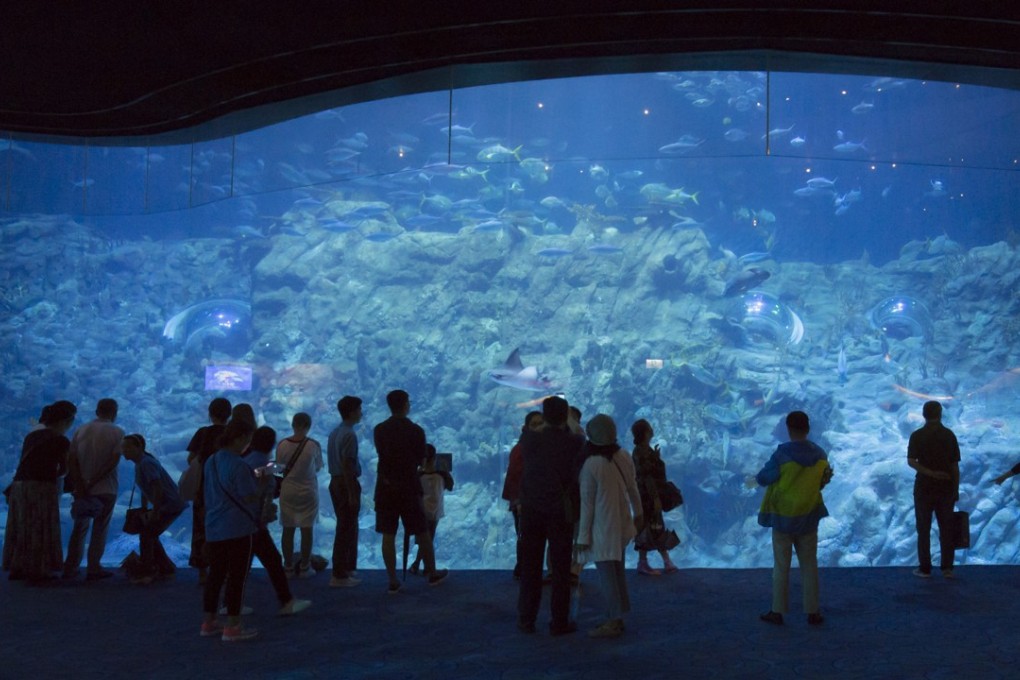 Ocean Park is rolling out offers including birthday discounts and free night admissions during the Christmas and New Year holidays. Photo: May Tse