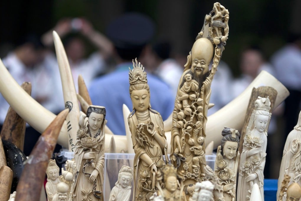 Domestic ivory sales will be banned in China by the end of the year. Photo: AP