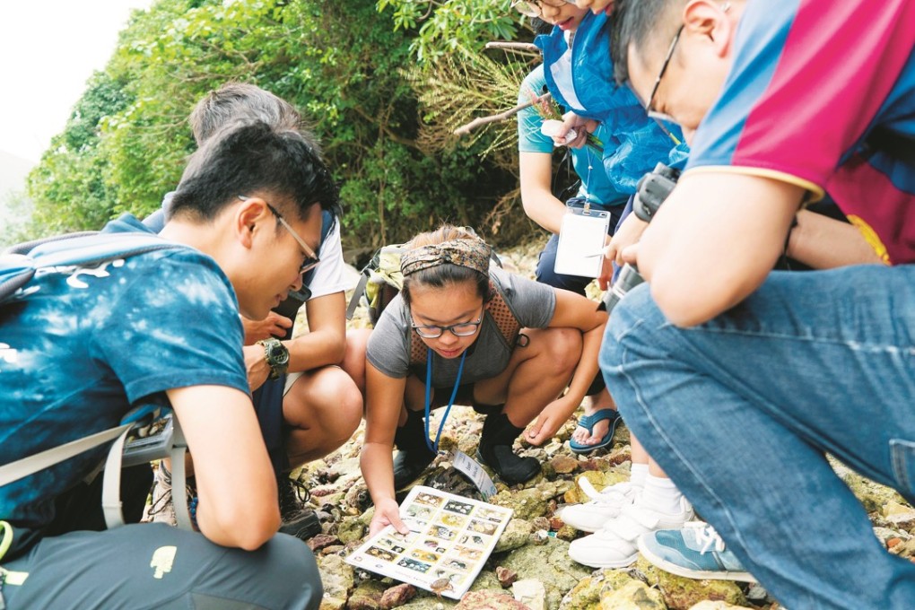 Kids of all ages learn more about the different species of insects that live in Tai Tam Tuk, Hong Kong, during the 2017 BioBlitz last month.