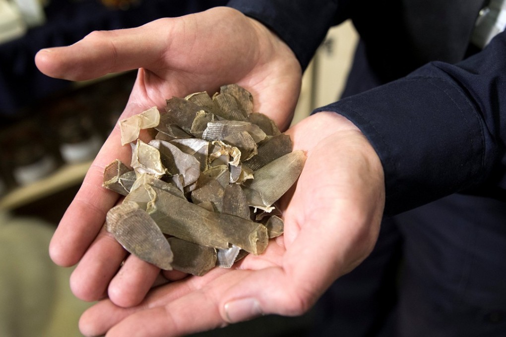 An officer shows off Pangolin scales seized by the UK Border Force at Heathrow Airport. Photo: Reuters