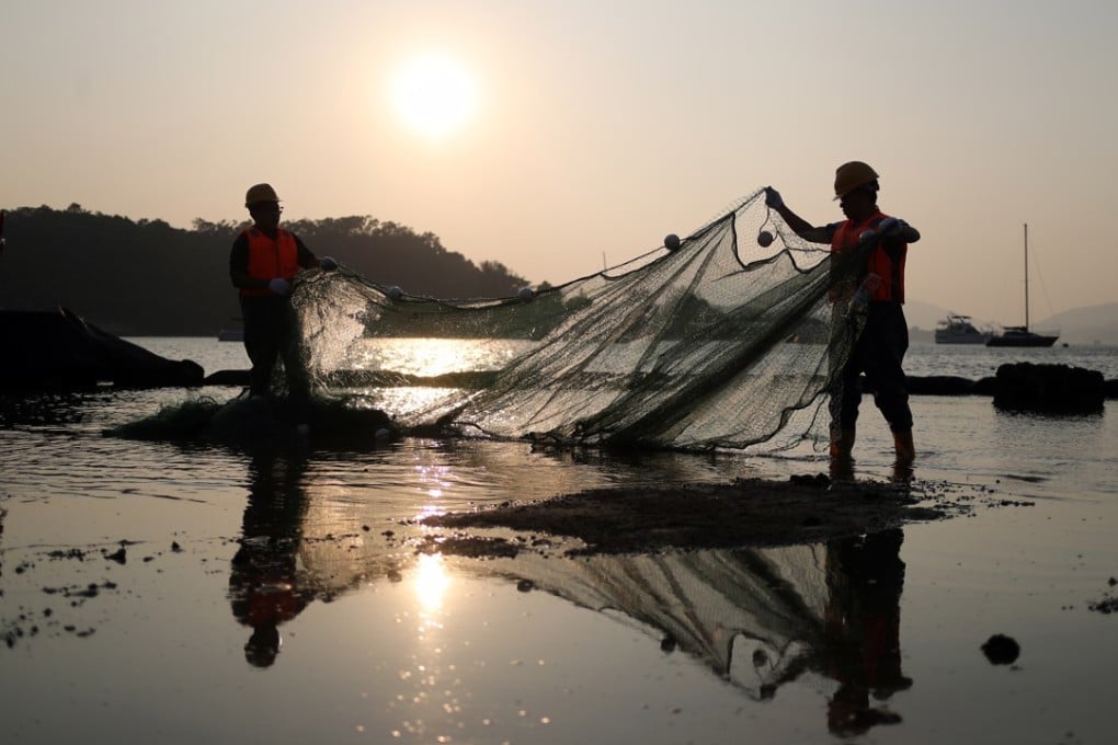 Contract workers hired by Civil Engineering and Development Department begin the operation to migrate living organisms from a shore at Lung Mei in Tai Po. The area will be turned into a man-made beach. Photo: Winson Wong