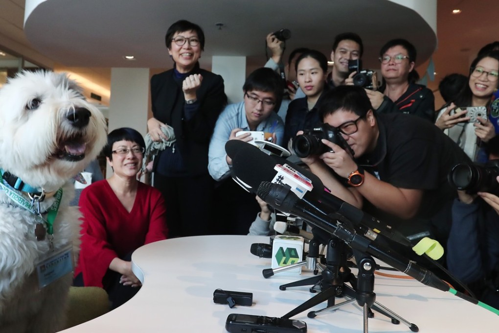 Therapy dog Jasper meets the press at the University of Hong Kong’s Lui Che Woo Law Library, on December 8. Photo: Jonathan Wong