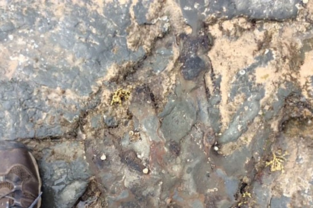 The dinosaur footprint after it was damaged by vandals at Flat Rocks. Photo: AFP