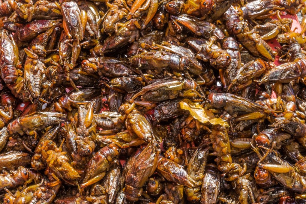Six top healthy food trends for 2018, from the next superfoods to a ...