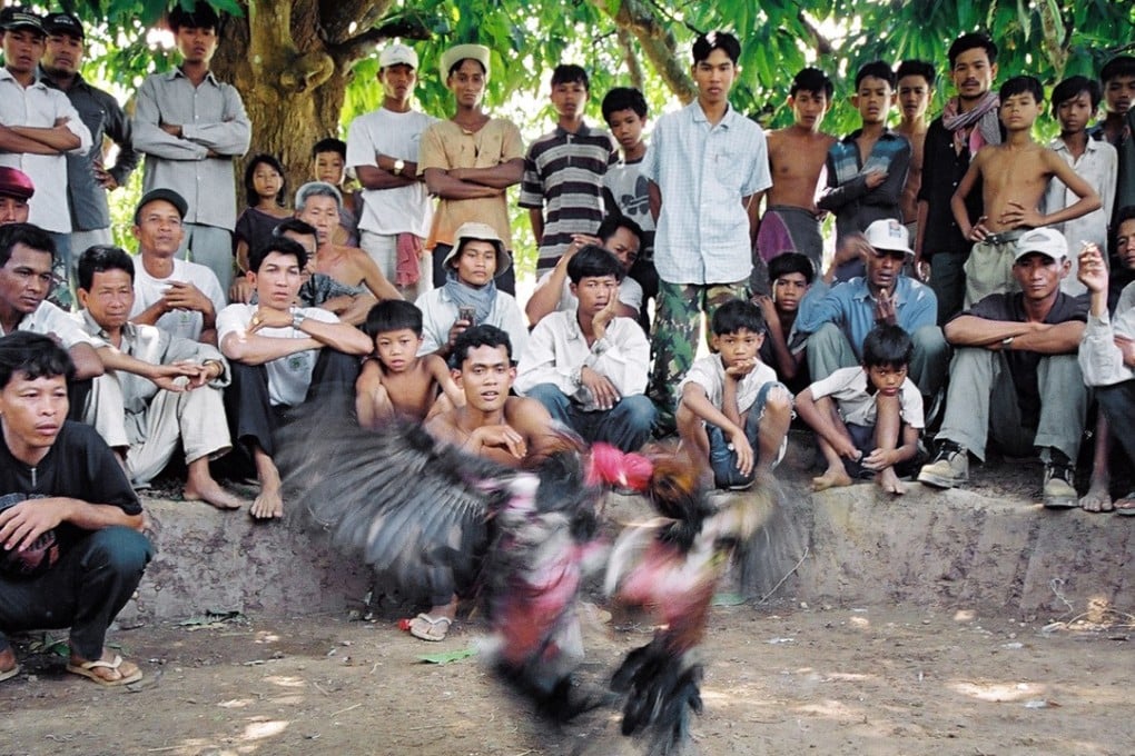 File photo of Cambodians watching a cockfight. Photo: AFP