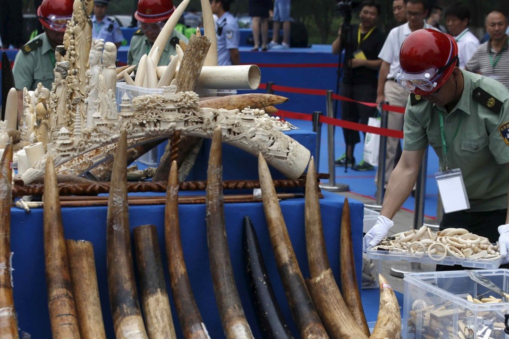 A file picture of the destruction of seized ivory products in Beijing two years ago. Photo: Reuters